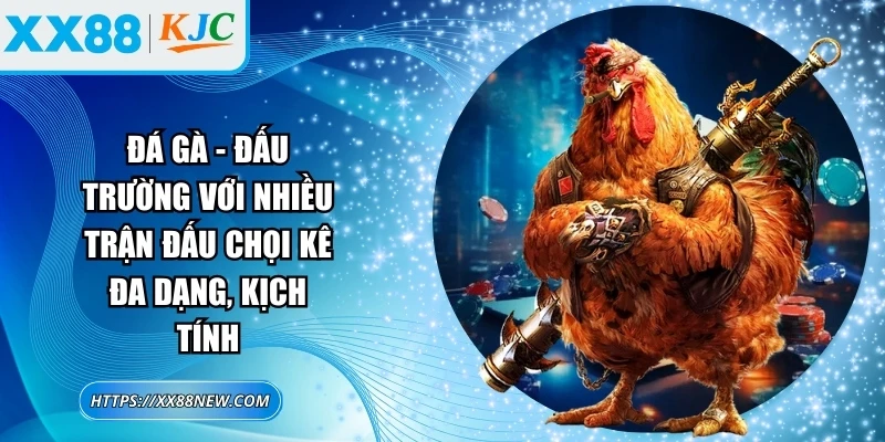 Đá gà - Đấu trường với nhiều trận đấu chọi kê đa dạng, kịch tính